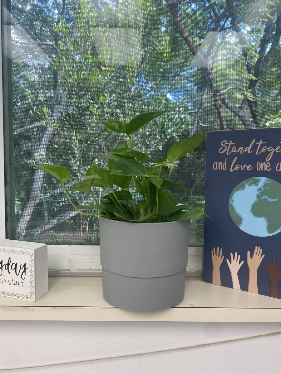 A pothos plant sits on the windowsill in Visual Arts Department Chair Sandi Woods classroom. The plants add more greenery to the class and it adds to my classroom vibe