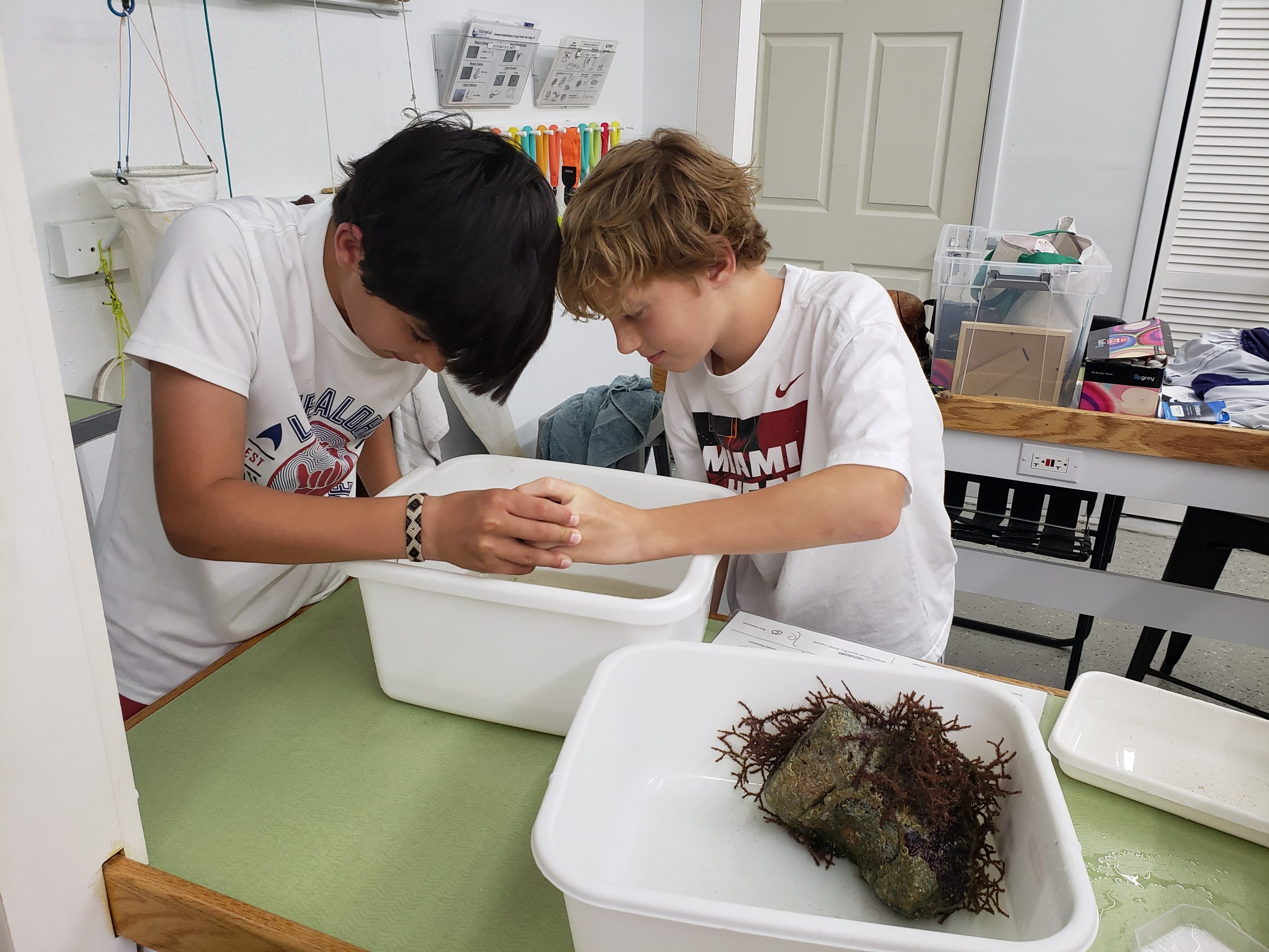 HANDS-ON LEARNING: Sixth graders Andoni Fernandez and Liam Lynch look at samples of marine life during the sixth grade travel week. This trip was so much fun and I loved seeing all of the marine life, Fernandez said.